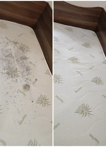 firma-curatenie-iasi (27)