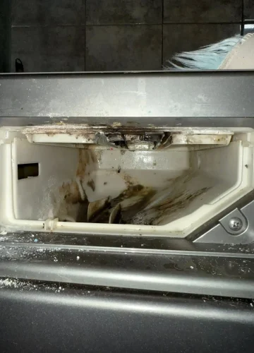 firma-curatenie-iasi (60)