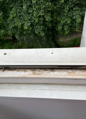 firma-curatenie-iasi (66)