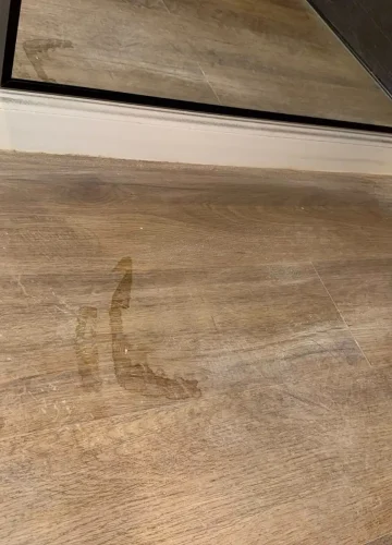 firma-curatenie-iasi (73)